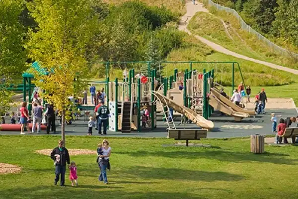 Public Park Safety
