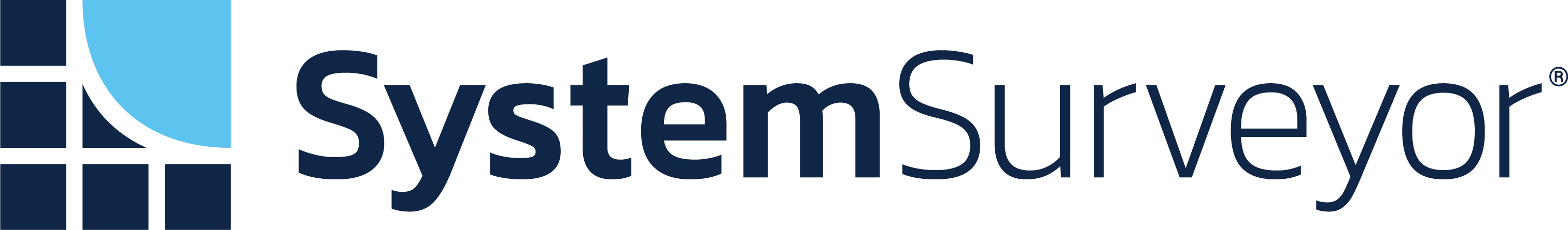 System Surveyor